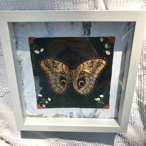 Handmade Owl Butterfly Shadow Box